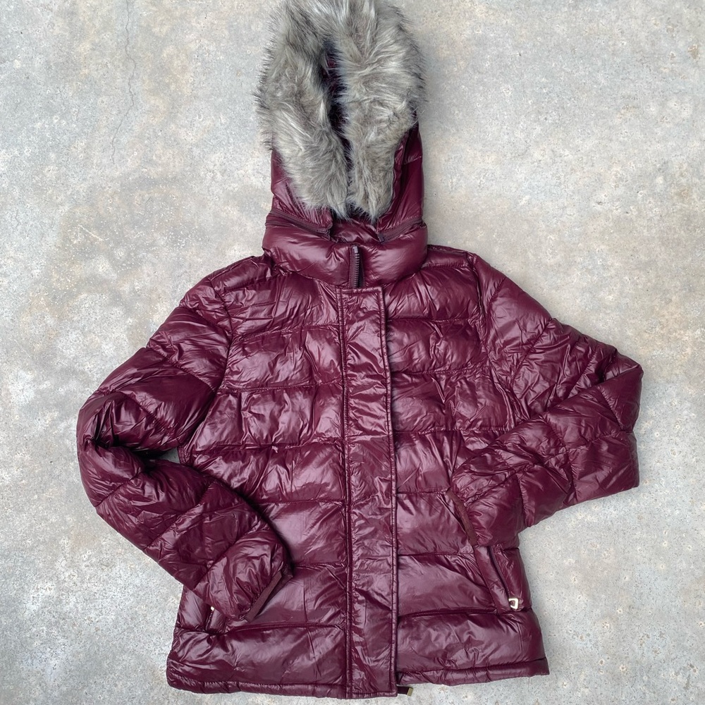 Winter Jacket
